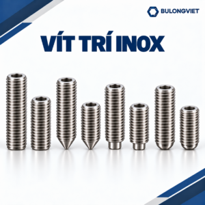 Vít trí inox