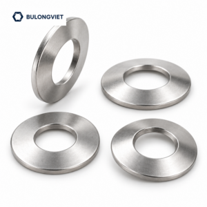 Vòng đệm đĩa côn inox – DIN 6796